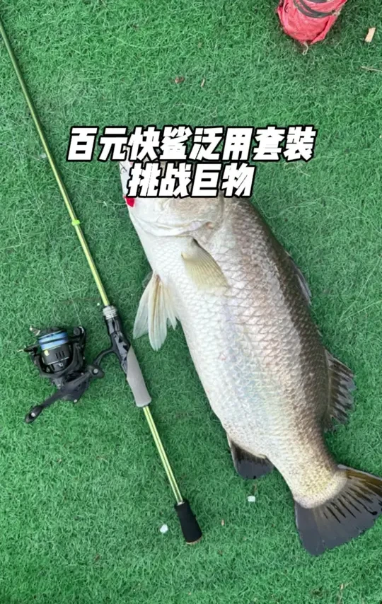 百元泛用路亚套装 钓迷快鲨泛用套装，竿轮线饵一套配齐，到手可以直接开钓，还给你顺丰包邮到家#路亚钓鱼 #户外钓鱼 #路亚新手 #路亚装备搭配 #路亚新手入门教程
