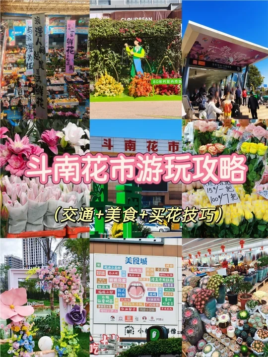 本地人整理！2026年版斗南花市游玩攻略来啦