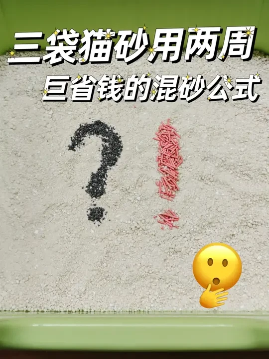 三袋猫砂用两周！这才是真省钱的混砂公式