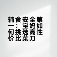 辅食安全第一：宝妈如何挑选高性价比菜刀