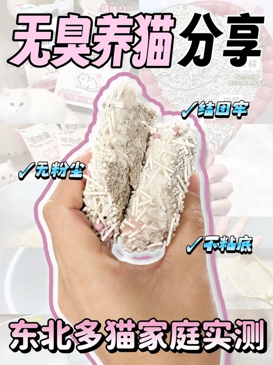 猫王猫砂才是过冬刚需！