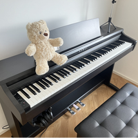 10 款高性价比电钢琴精选型号 + 避坑攻略（2026 年度最新）