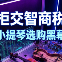 一篇文章讲透小提琴推荐：新手与进阶玩家的小提琴选购底层逻辑