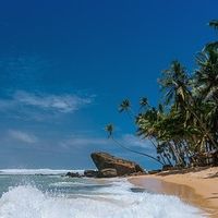 口碑好的国产护肤品排行