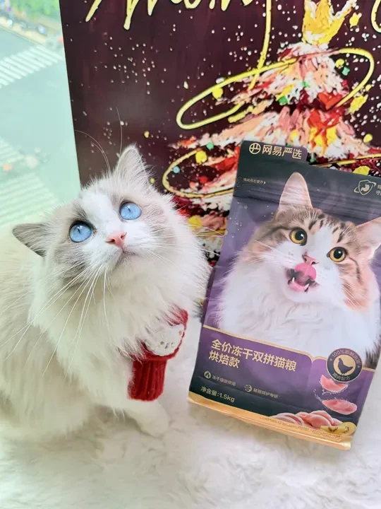 换季玻璃胃养护 | 猫咪の秋冬安心干饭攻略