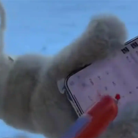 游客带火腿肠勇闯东北 玩手机不冻手 饿了还能充饥