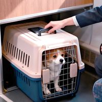 2026最新动车宠物托运政策：费用多少？安全吗？热销托运装备实测