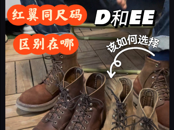 红翼8111.8085.8083,D和EE到底区别在哪