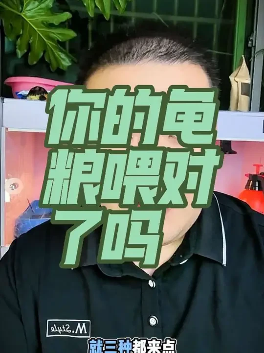你的龟粮喂对了吗#龟粮推荐 #乌龟喂食 #养龟人 #龟宠 #异宠