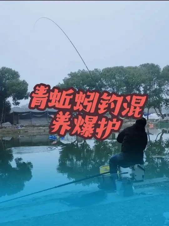 一条视频教会你怎么用青蚯蚓钓混养爆护，从下杆到结束两个小时左右#青蚯蚓#青蚯蚓钓鱼 #箭琴海 #猛攻突击鲢三代#青蚯蚓打窝钓法  视频同款线组他家☞@箭琴海运动户外旗舰店