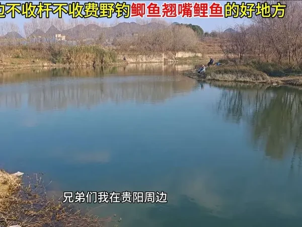 贵阳周边不收杆不收费停车走两步就到钓位垂钓鲫鱼鲤鱼翘嘴的秘密钓点！#汉鼎一号六代  #汉鼎真材实料放心入#老坛甜薯 #喜马罗夜光漂#钓点分享 @汉鼎官方旗舰店 @喜马罗官方旗舰店