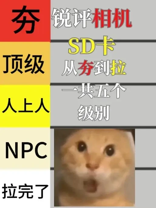 从夯到垃锐评相机SD卡(v30规格) #锐评 #哈基米 #相机 #SD卡 #夯