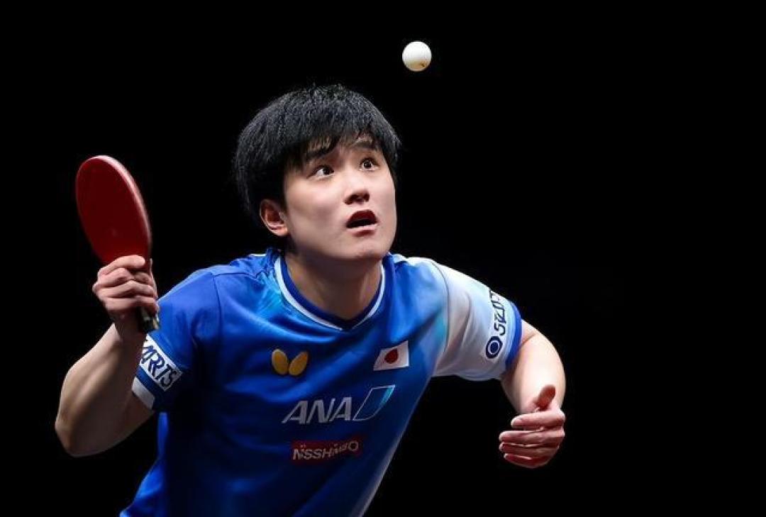 复仇成功!张本智和4-2力克勒布伦,心理与战术均迎蜕变