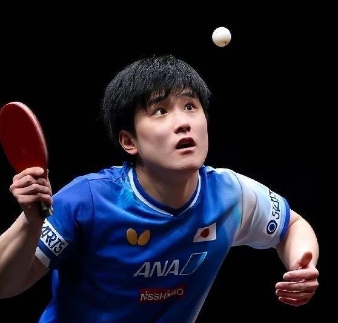 复仇成功!张本智和4-2力克勒布伦,心理与战术均迎蜕变