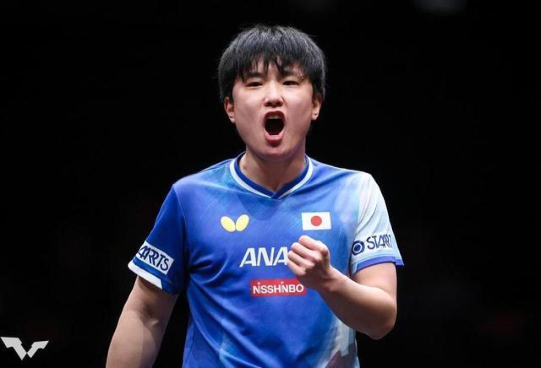 复仇成功!张本智和4-2力克勒布伦,心理与战术均迎蜕变
