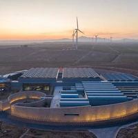 口感太涩、仪式感太重，葡萄酒为什么打动不了中国年轻人？