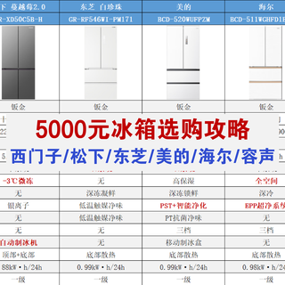 年货节5000元冰箱选购指南:双系统 + 保鲜制冰,囤货不踩雷