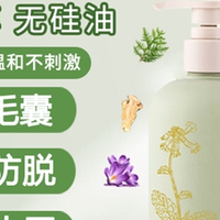 防脱洗发水推荐哪个品牌好？长青泉无硅油育发防脱二合一