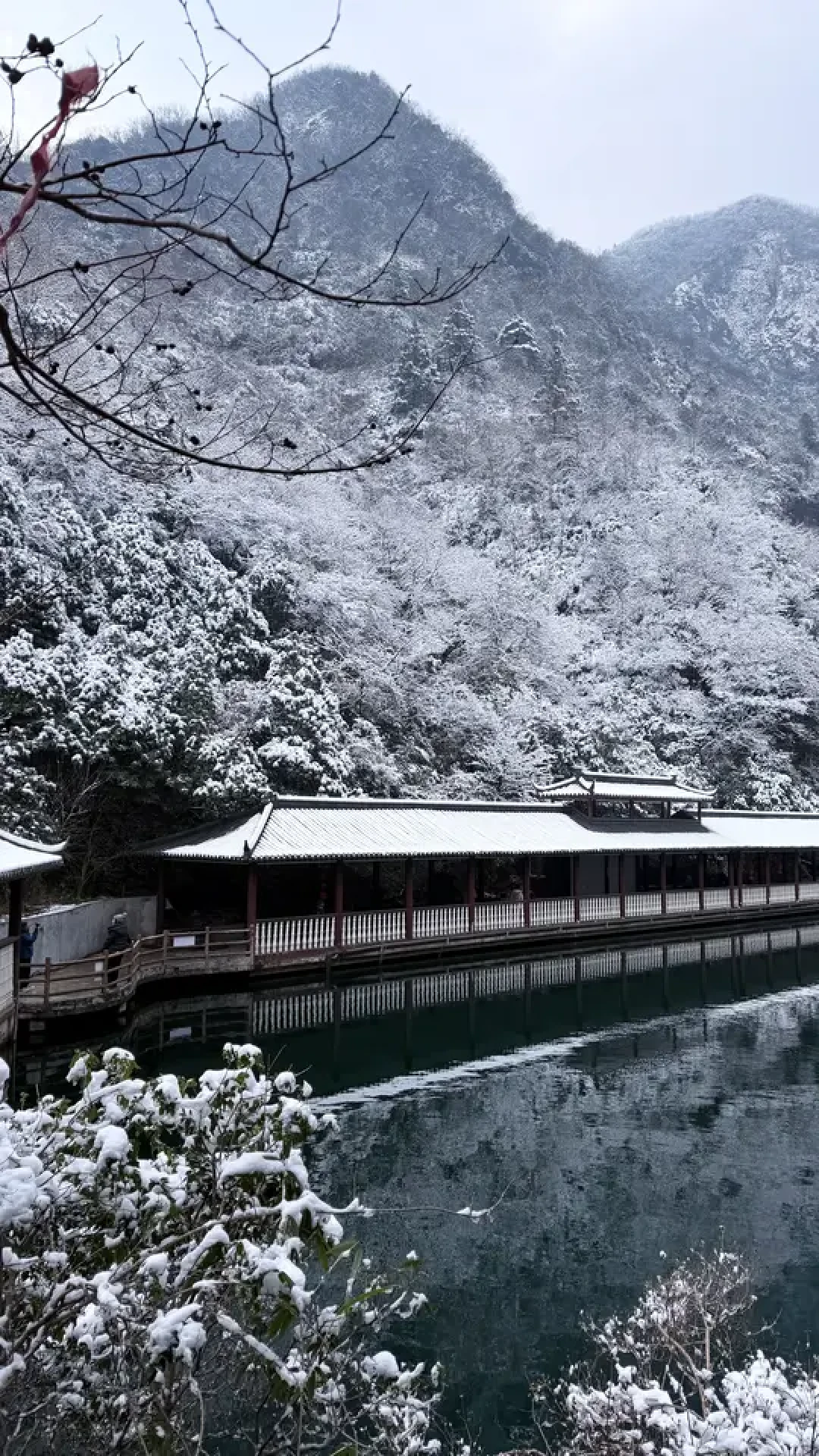 灵溪山雾凇雪景攻略：避开车流与防寒指南