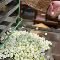 花茶为何让人着迷?详解窨制工艺与风味