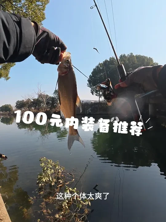 百元新装备评测 杆：哈斯达-蝴蝶1.5米UL
轮：达瓦25飞鸽LT2000 S-XH +革梦士握丸
线：绫罗溪流0.4+摩利根粉碳1.2前导
饵：1.5克6号根钓钩+4.2厘米多节针尾
#哈斯达蝴蝶 