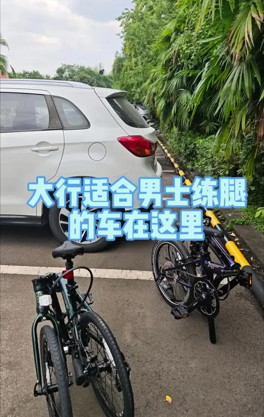 租房党通勤就选大行D6
爱改装选大行P8
一步到位就选大行PKA015
评论区留下你的心仪车型，我来评…！
#成都北一环大行自行车P8#成都大行 #折叠车 #冬季骑行 #通勤骑行
