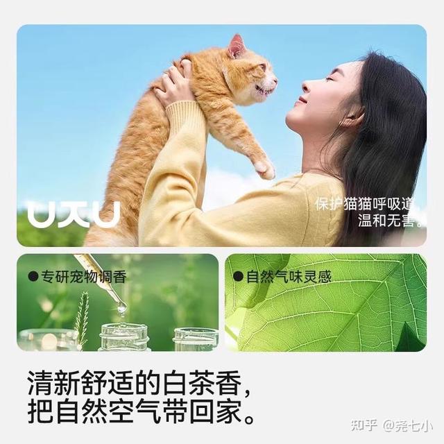哪个牌子的猫砂性价比高？