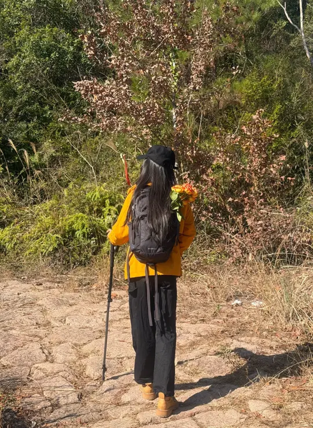 温州永嘉青龙山徒步攻略与野趣指南
