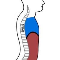 睡觉总爱“举手投降”？学会这两招，放松肩颈睡得香