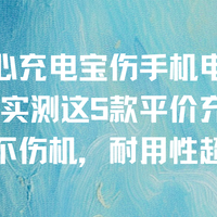 还在担心充电宝伤手机电池吗？2026年实测这5款平价充电宝！