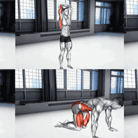 练后不拉伸，等于白练？一套10分钟「全身拉伸序列」，加速恢复、提升柔韧性