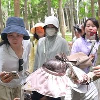 寻真溯源：为何真正的泰国本土品牌更值得信赖？