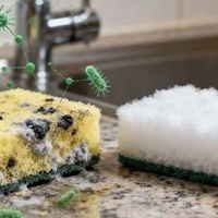 你的洗碗海绵挑错了！材质不对，细菌翻倍滋生！