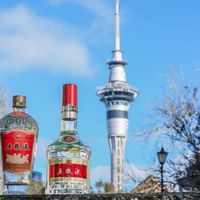 五粮液普五 vs 1618？我们汇总了87位用户真实观点，结论在这