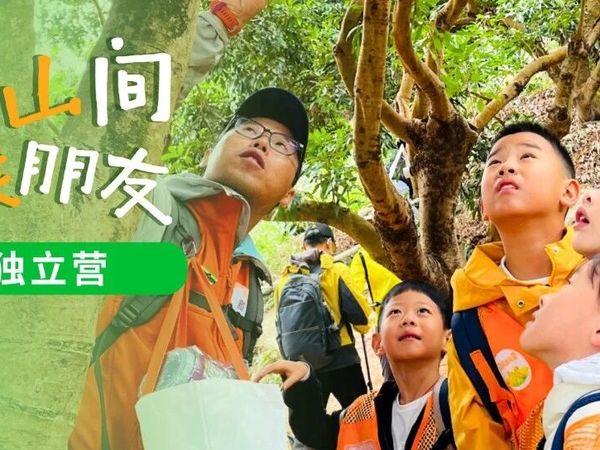 周末放松‼️送娃去塘朗山当一天“野孩子” | 山野徒步＋逃生绳结＋户外野炊＋学习受伤应急处理