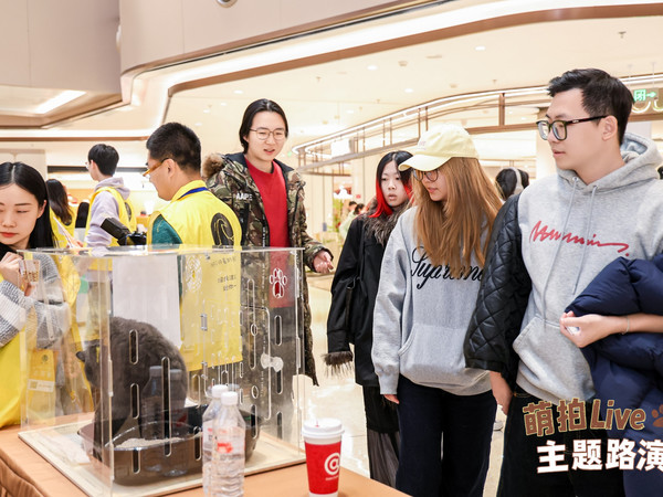 #北京也有宠物路演了# 太有意思了，宠物也有路演，“萌拍Live”宠物公益路演正在火热进行中，喜欢宠物的我，看着也想飞过来看看。#给宠物出片很难吗# 讲真的，还是有一定的难度的，因为不好定格，但看这个