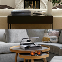 古典乐黑胶唱片 vs 数字音乐平台？我们汇总了217位用户真实体验