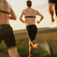 运动一年：坚持成为日常