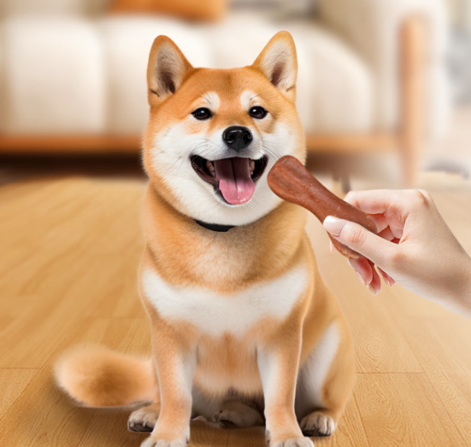训犬零食