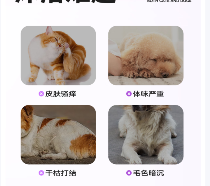 海氏海诺训导诱便/消毒除味