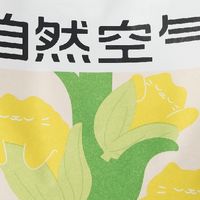 新年养猫健康指南与好物推荐