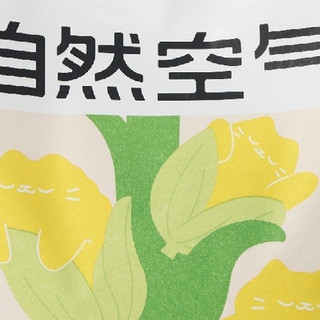 新年养猫健康指南与好物推荐