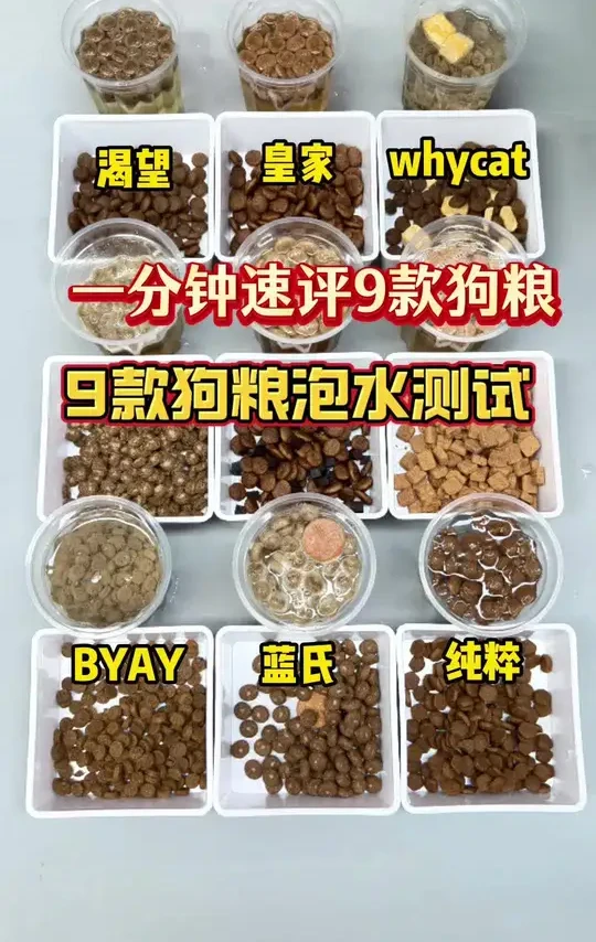 一分钟速评9款热门狗粮!
whycat狗粮/蓝氏狗粮/麦富迪鲜肉狗粮/纽顿狗粮/巅峰狗粮/比乐狗粮/百利狗粮/素力高狗粮/BYAY狗粮/高爷家狗粮/网易狗粮/荒野盛宴狗粮
#美国一口气退66个群#檀健