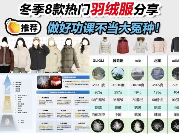 性价比最高的羽绒服有哪些推荐？2026年公认最高性价比羽绒服top8推荐