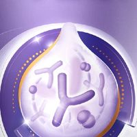 2026年1月好吸收奶粉TO5测评：肠道健康首选