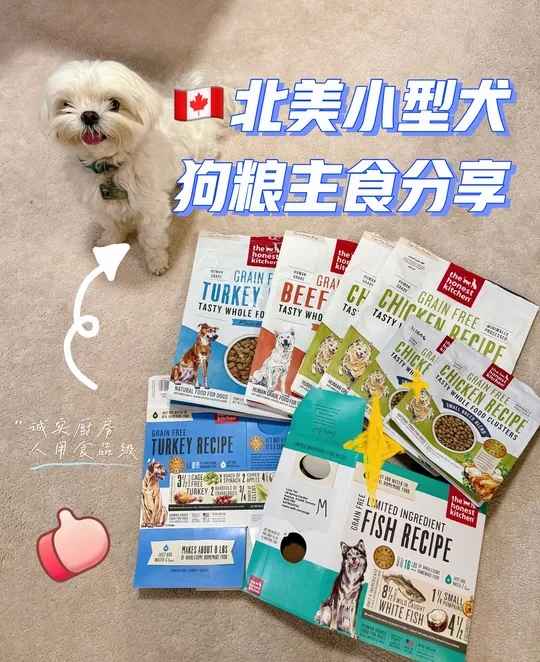 🇨🇦北美小型犬🐾空袋分享 | 狗粮主食篇