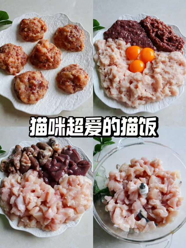 自制VS市售：宠物营养餐选择
