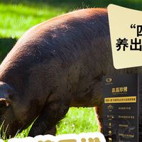 乌金纳福·豕尊呈祥 川边高原黑猪的自然馈赠