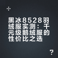 黑冰8528羽绒服实测：千元级鹅绒服的性价比之选