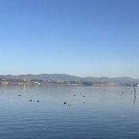 营养配比优秀的高性价比猫粮推荐：好吃不挑嘴，划算无负担